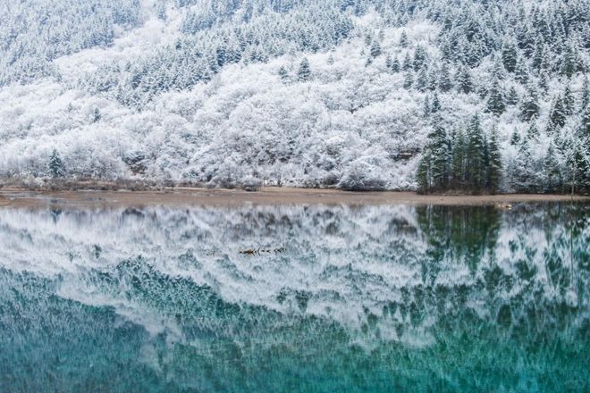 实力榜发布！四川全域旅游选社指南出炉不朽情缘网站2025四川旅行社综合(图3)